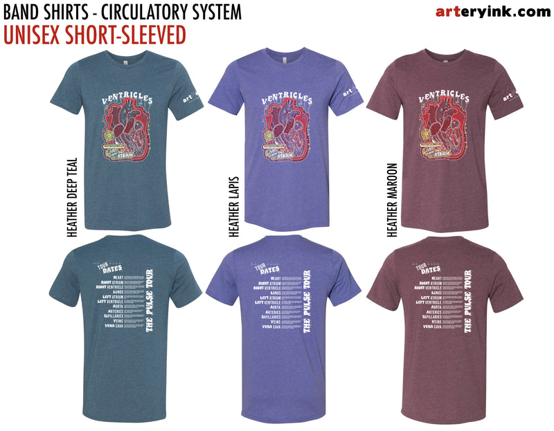 Anatomical Band Shirt / Circulatory System / Pre-Order