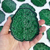 Brain & Neurons Vinyl Sticker