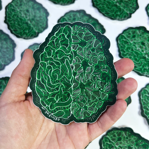 Brain & Neurons Vinyl Sticker