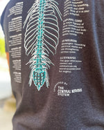 Anatomical Band Shirt / Nervous System / Pre-Order