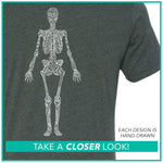 Radiology / Skeleton / Pre-Order