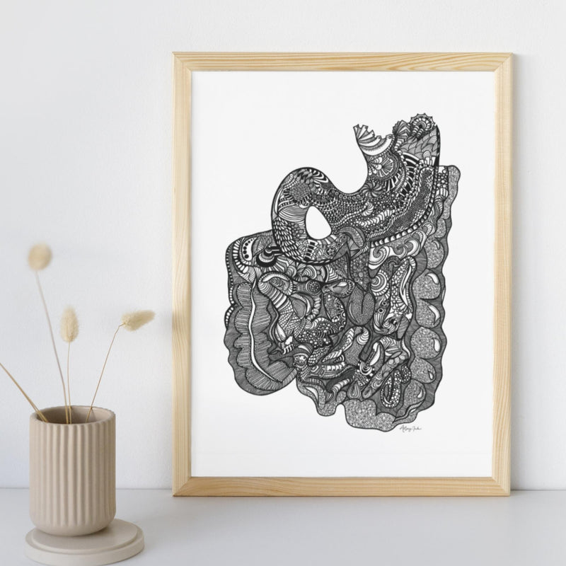 The Gut (Intestines & Stomach) - 8x10 or 11x14