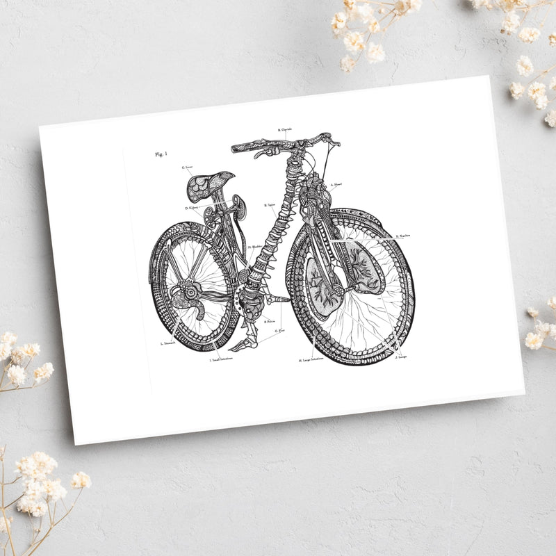 Anatomical Bicycle - Any Occasion (#8111)