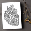 Heart of Colorado - Any Occasion (#8015)