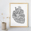 Heart of Colorado - 8x10 or 11x14