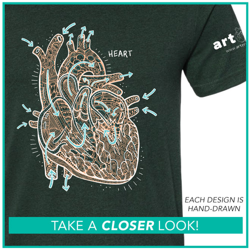 Cardiology / Blood Flow Heart / Pre-Order