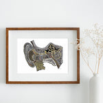 Metallic Ear Canal (Inner Ear) - 8x10 or 11x14
