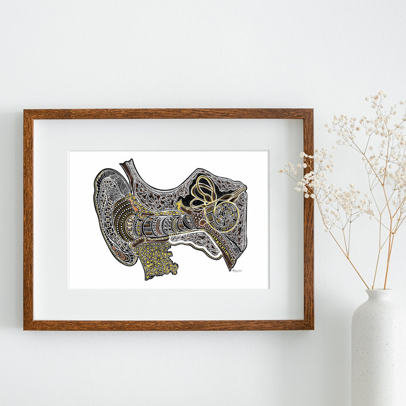 Metallic Ear Canal (Inner Ear) - 8x10 or 11x14