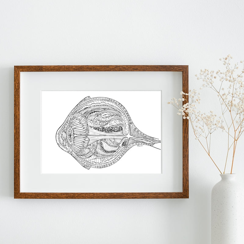 Eyeball - 8x10