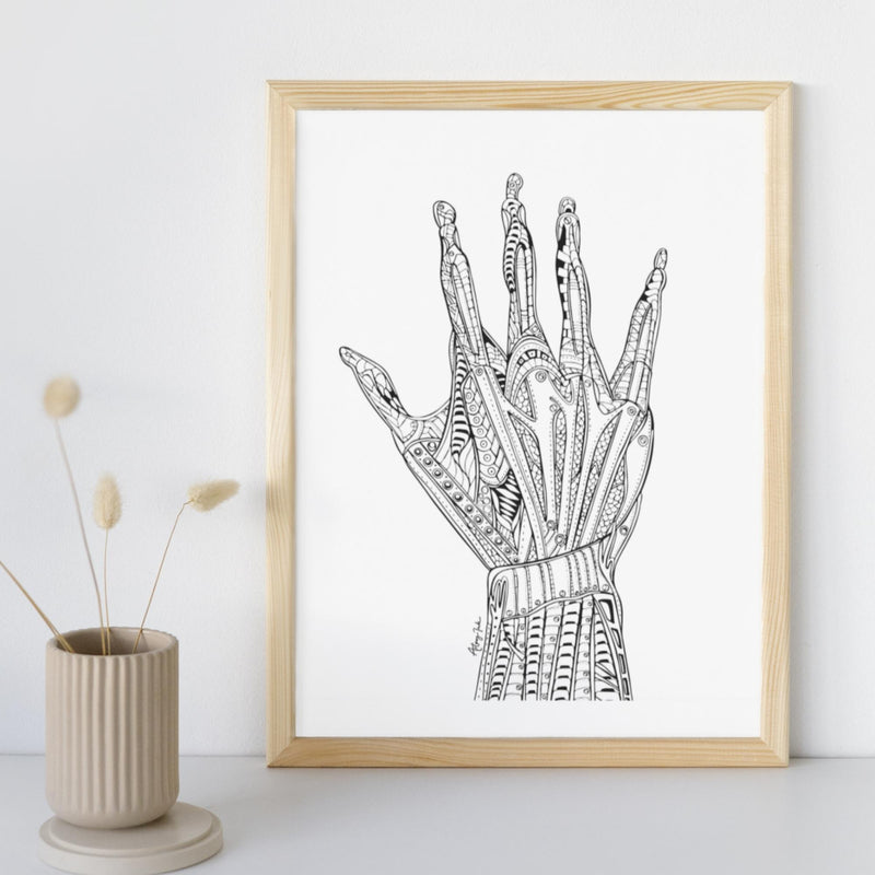 Hand Muscles - 8x10 or 11x14