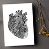 Heart "B" - Simple Anatomy (#8003)