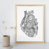 Heart "C" - 8x10