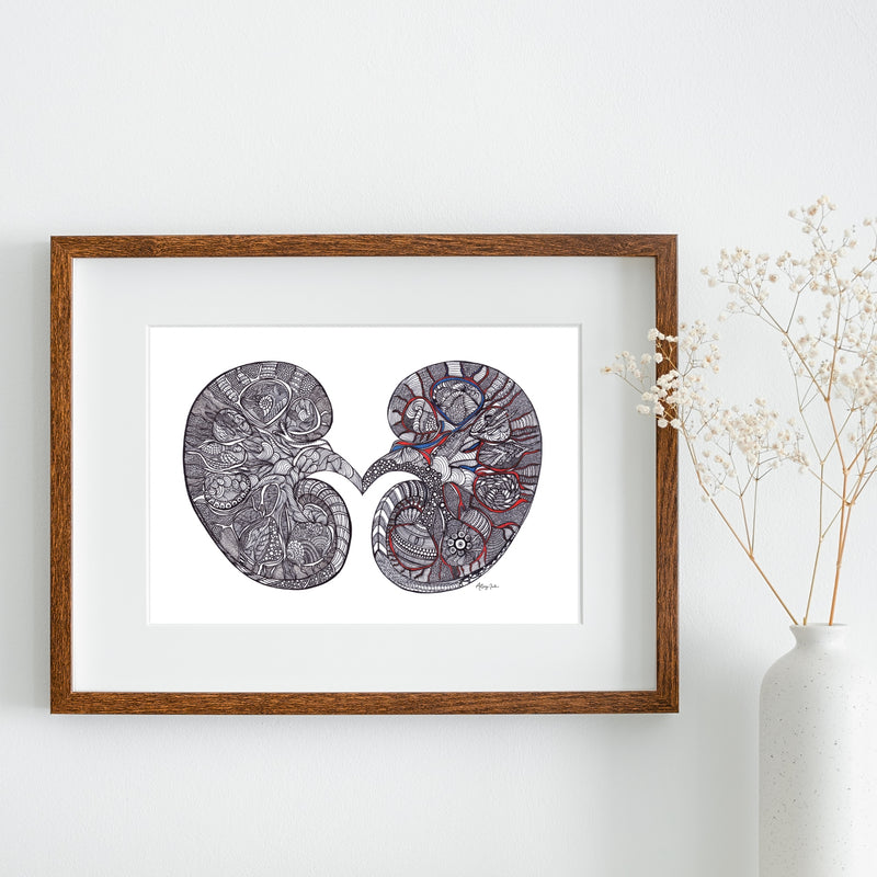 Kidney - 8x10 or 11x14