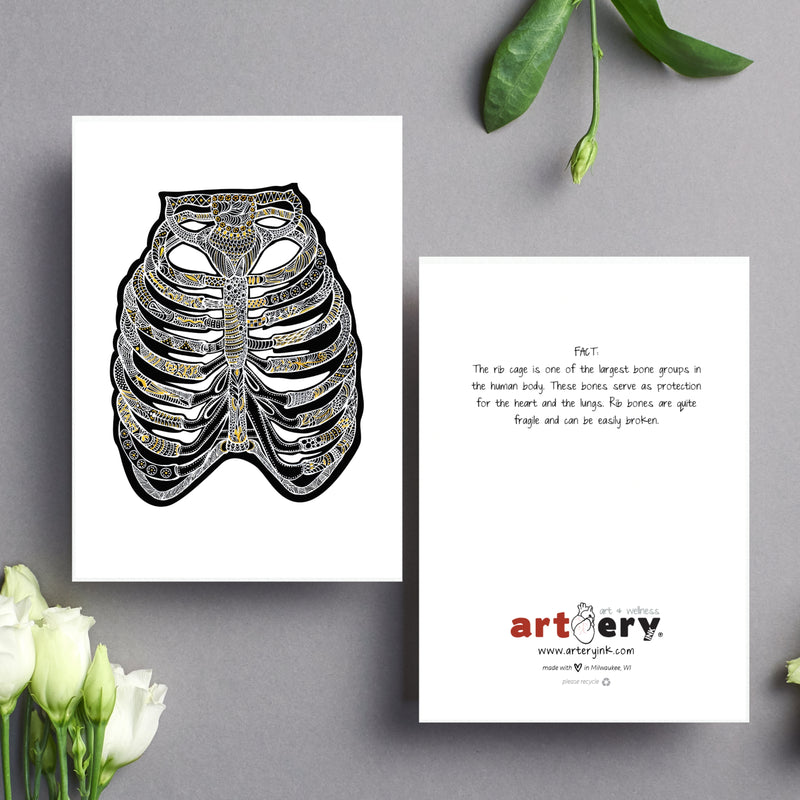 Ribcage - Simple Anatomy (#8006)