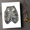 Ribcage - Simple Anatomy (#8006)