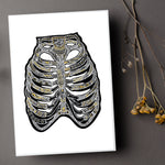 Ribcage - Simple Anatomy (#8006)
