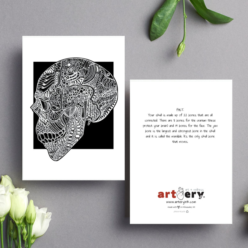 Side Skull - Simple Anatomy (#8009)