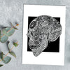 Side Skull - Simple Anatomy (#8009)