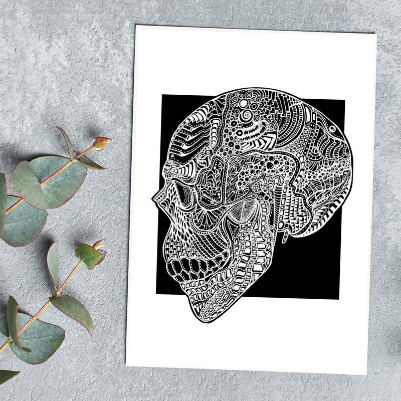 Side Skull - Simple Anatomy (#8009)