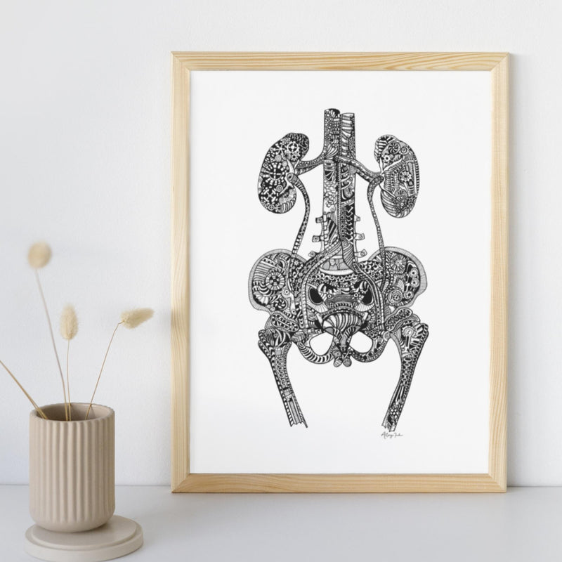 Urinary Tract - 8x10 or 11x14