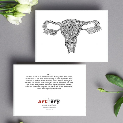 New Uterus / BLANK - Simple Anatomy (#8014)