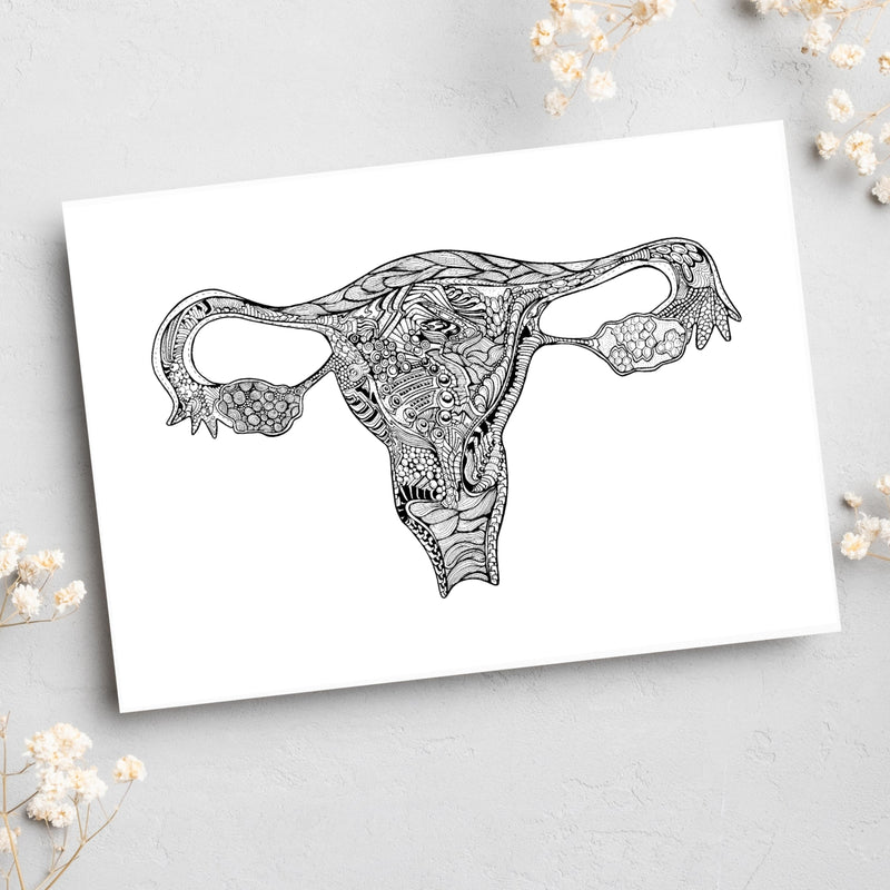 New Uterus / BLANK - Simple Anatomy (#8014)