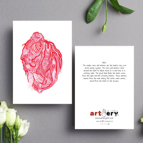 Vein & Artery Heart - Simple Anatomy (#8011)