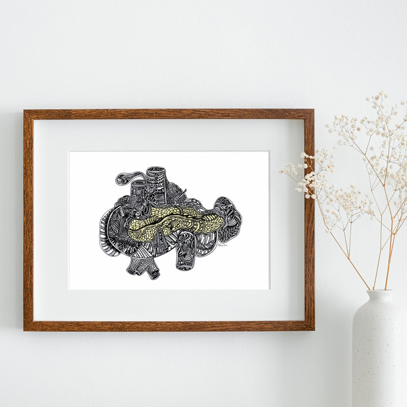 Pancreas / Yellow - 8x10
