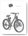 Anatomical Bicycle - 8x10 or 11x14