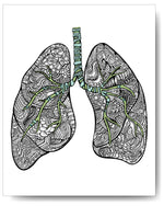 Blue & Green Lungs - 8x10 or 11x14