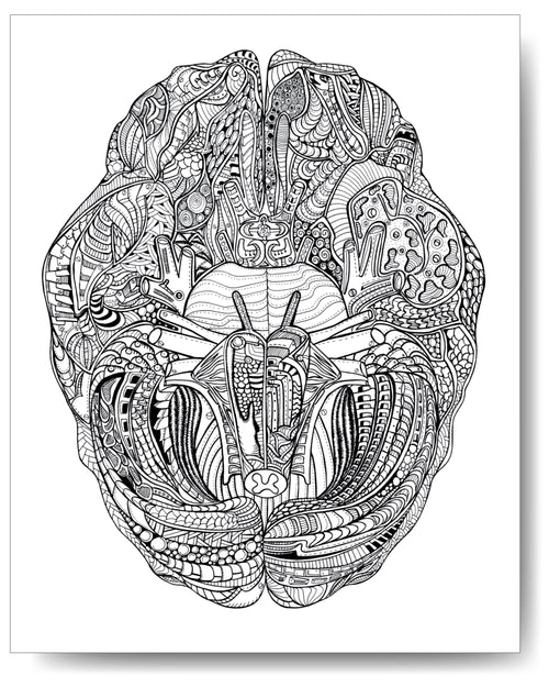 Show Me Your Guts  The Anatomically Correct Coloring Book – arteryink