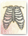 Diamond Series - Ribcage - 8x10 or 11x14
