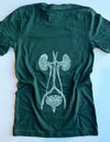 Circulatory, Digestive & Urinary System Unisex T.Shirt