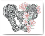 Floral Pelvis - 8x10 or 11x14