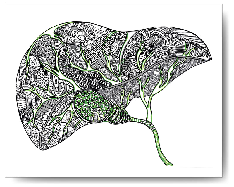 Liver Coloring Page