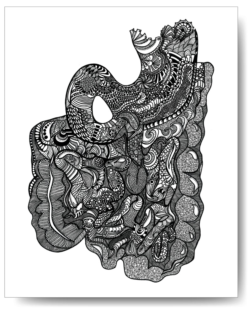 The Gut (Intestines & Stomach) - 8x10 or 11x14