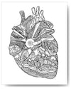 Heart of Colorado - 8x10 or 11x14