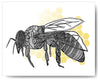 Honey Bee - 8x10