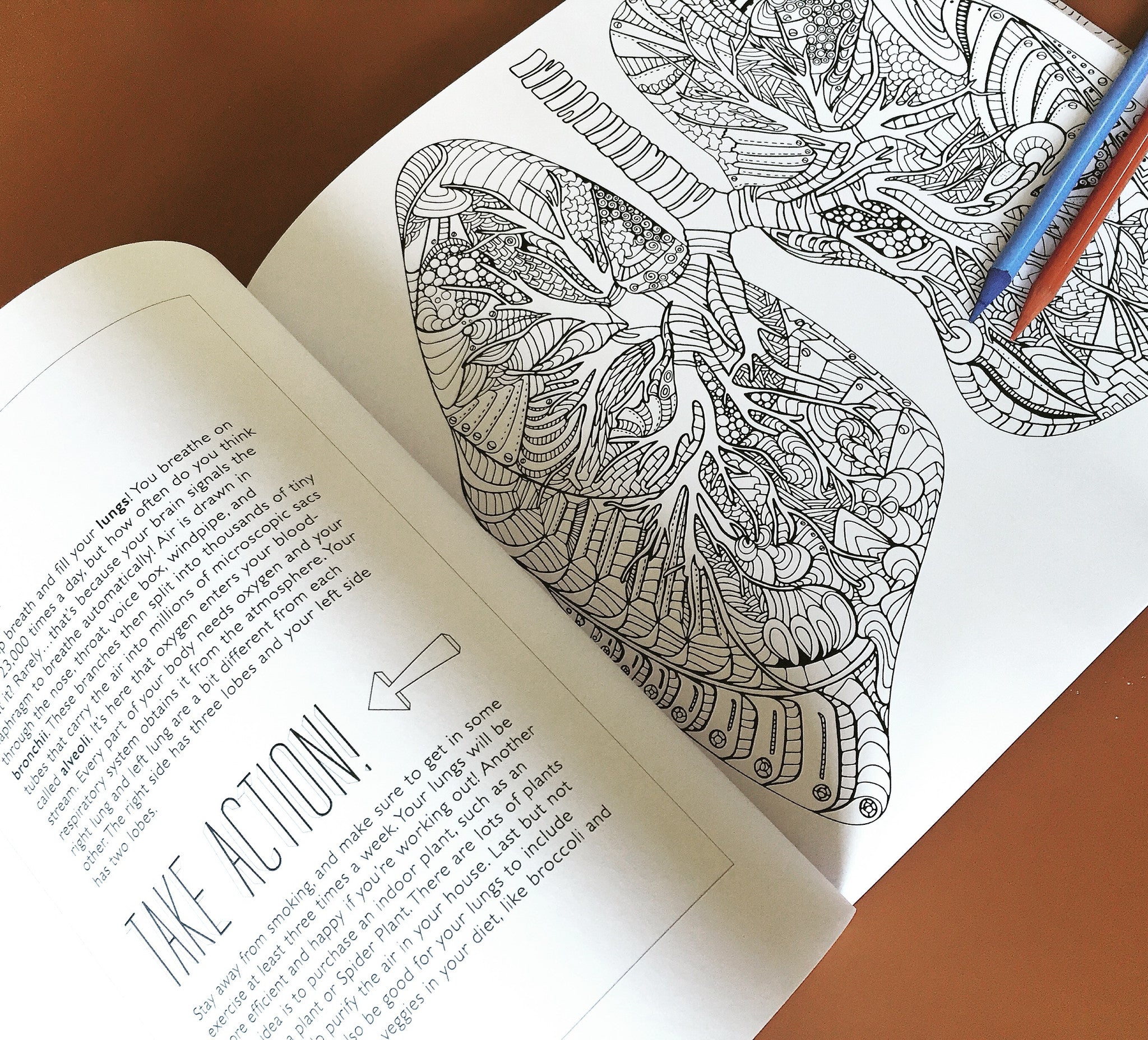 Show Me Your Guts  The Anatomically Correct Coloring Book – arteryink