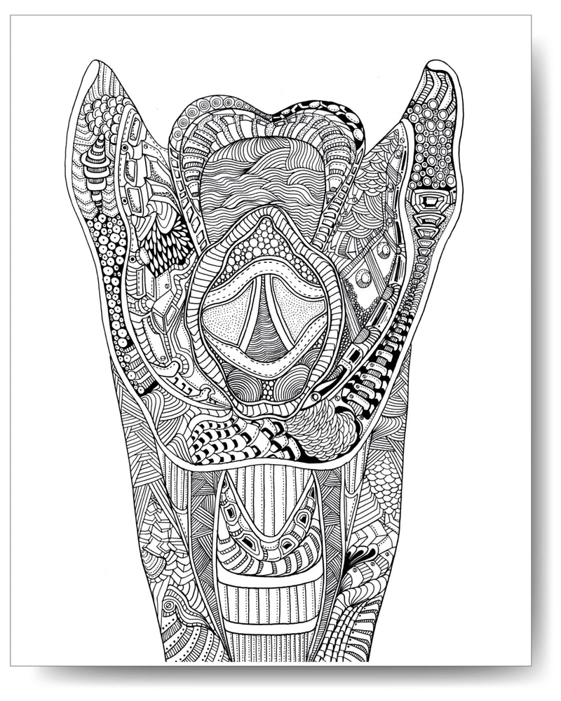 Larynx - 8x10