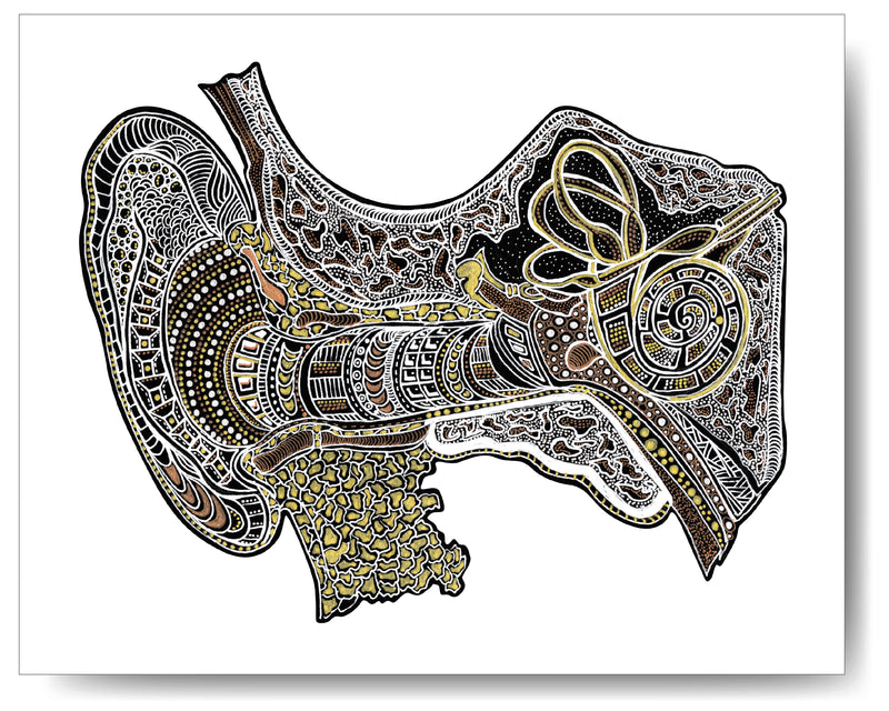 Metallic Ear Canal (Inner Ear) - 8x10 or 11x14