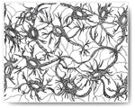 Neurons - 8x10 or 11x14