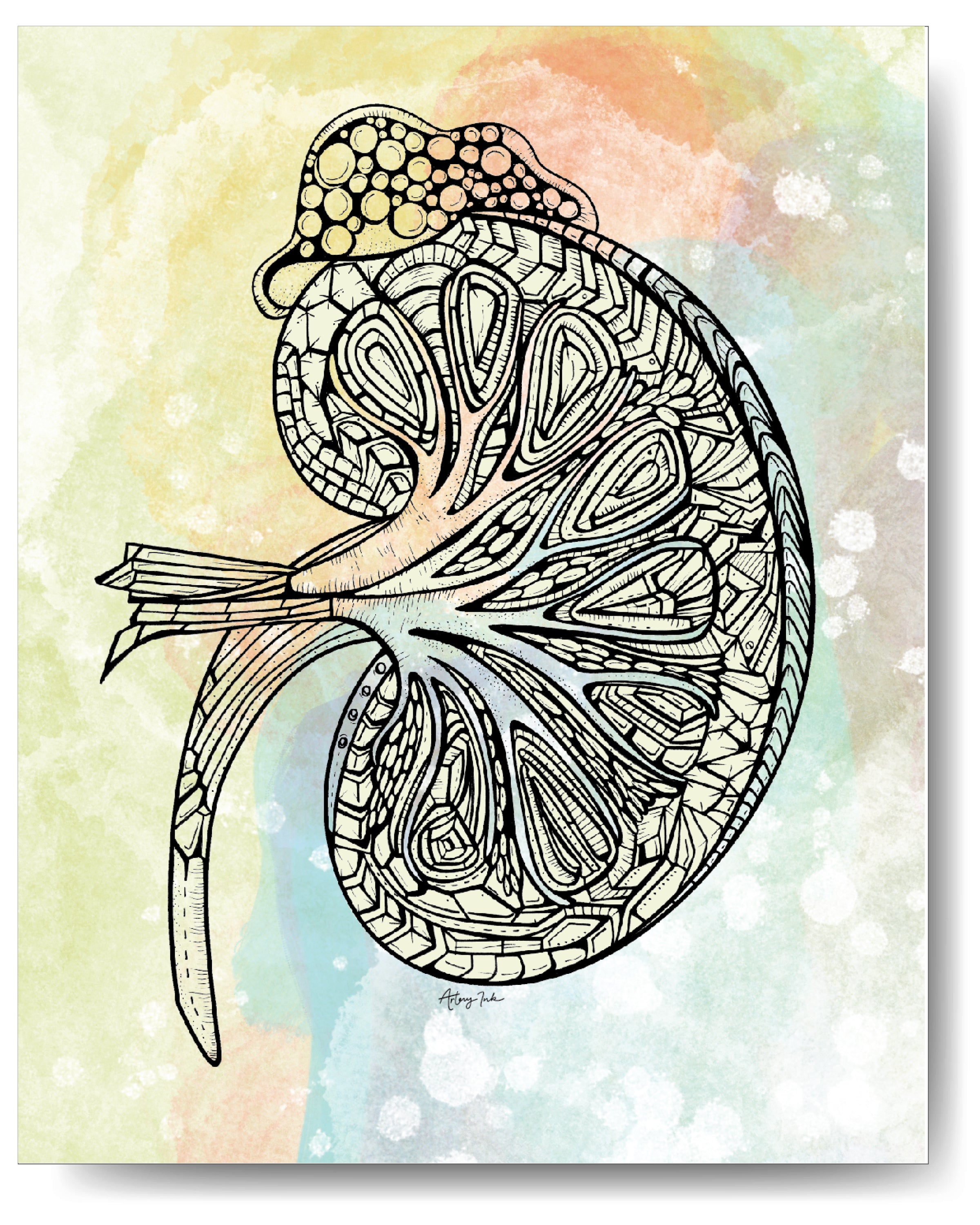 Pretty Kidney Kidney Art