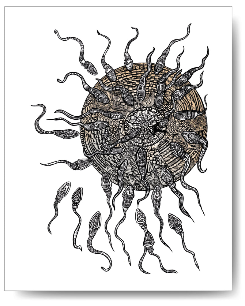 Sperm & Egg - 8x10