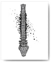 Spine - 8x10 or 11x14