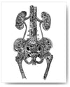 Urinary Tract - 8x10 or 11x14