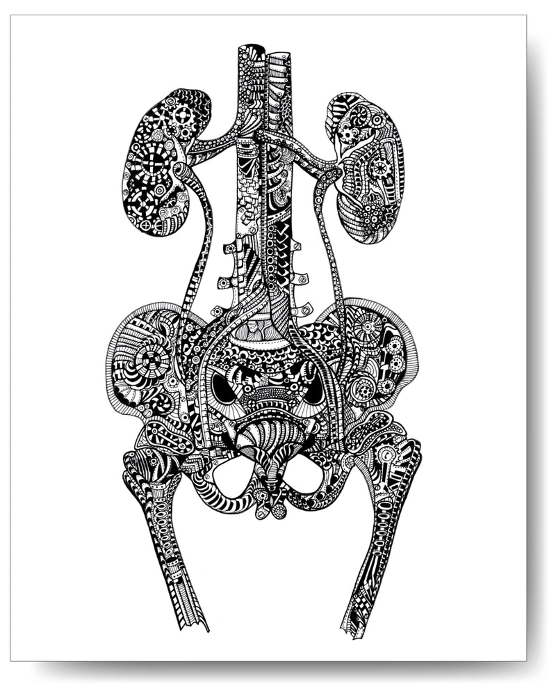 Urinary Tract - 8x10 or 11x14