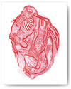 Vein & Artery Heart - 8x10 or 11x14