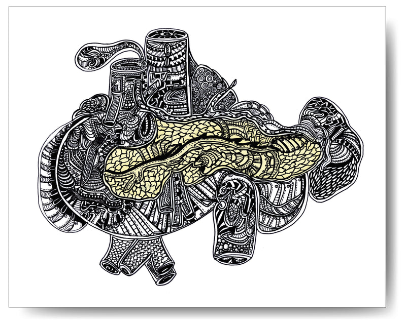 Pancreas / Yellow - 8x10