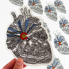 Heart of Colorado Vinyl Sticker